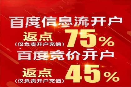 案例解析：SEM搜索引擎优化助力电商快速崛起